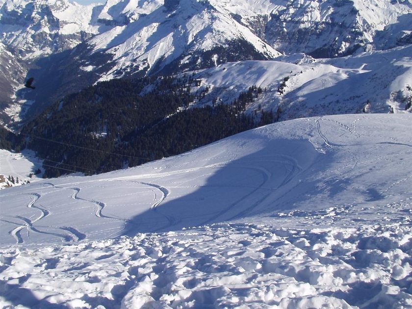Fresh Tracks