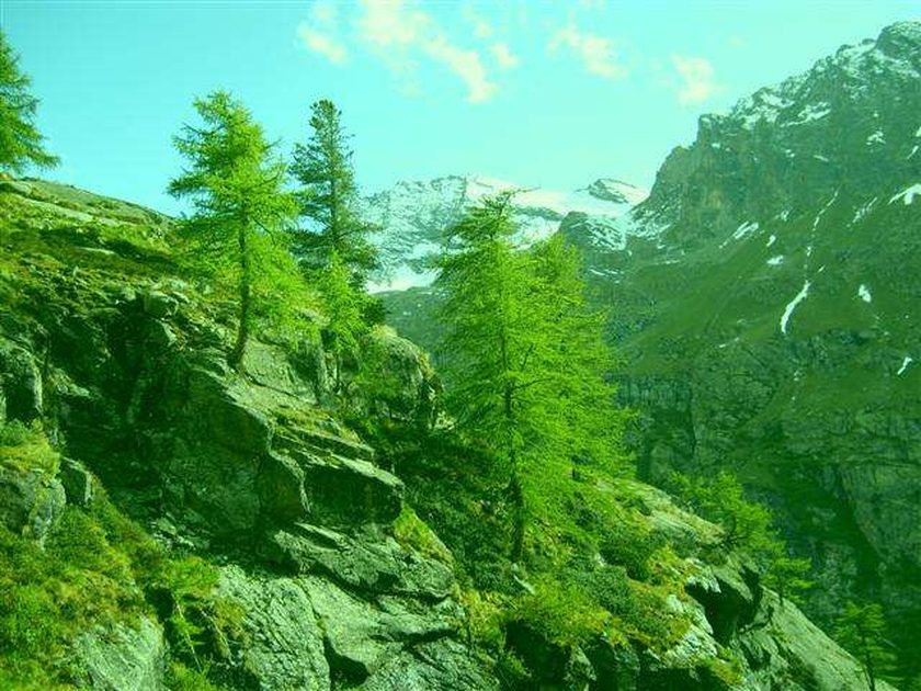 Valsavarenche, going up to the refuge